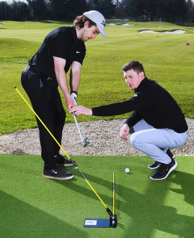The Swing Plate training image 3