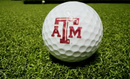 Texas A&M Putt Ball - Putting Mat Game - Make Practicing your Putts Entertaining While Representing Your Favorite University - Mat is 12 feet by 2 feet Golf Training Aids